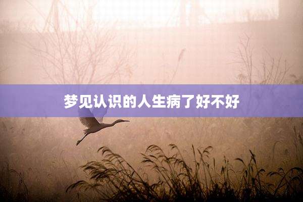 梦见认识的人生病了好不好