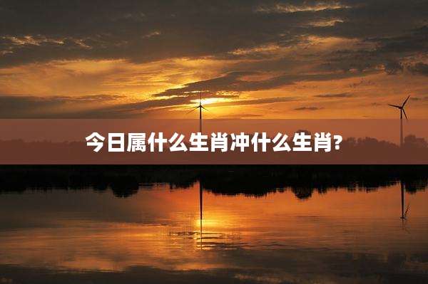 今日属什么生肖冲什么生肖?