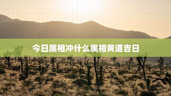 今日属相冲什么属相黄道吉日