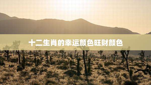 十二生肖的幸运颜色旺财颜色