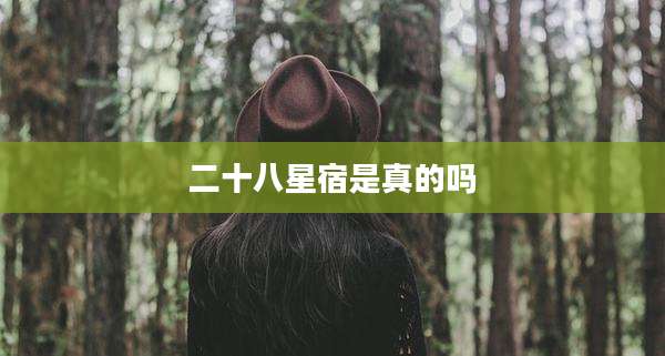 二十八星宿是真的吗