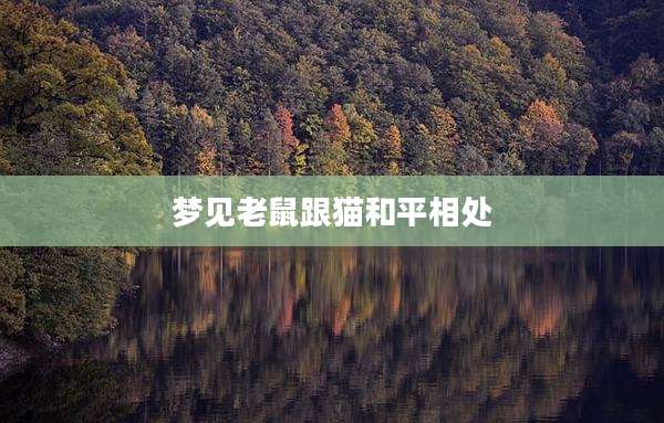 梦见老鼠跟猫和平相处