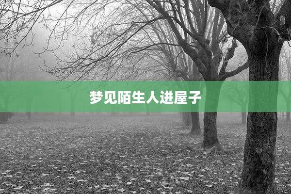 梦见陌生人进屋子