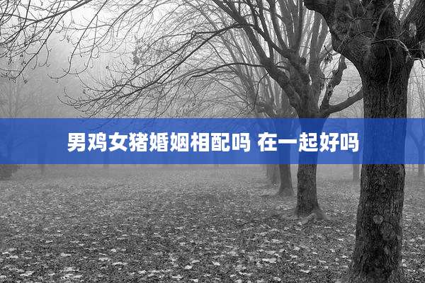 男鸡女猪婚姻相配吗 在一起好吗
