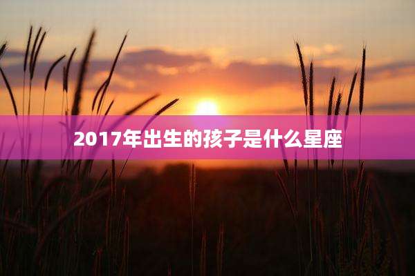 2017年出生的孩子是什么星座