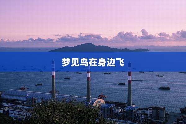 梦见鸟在身边飞