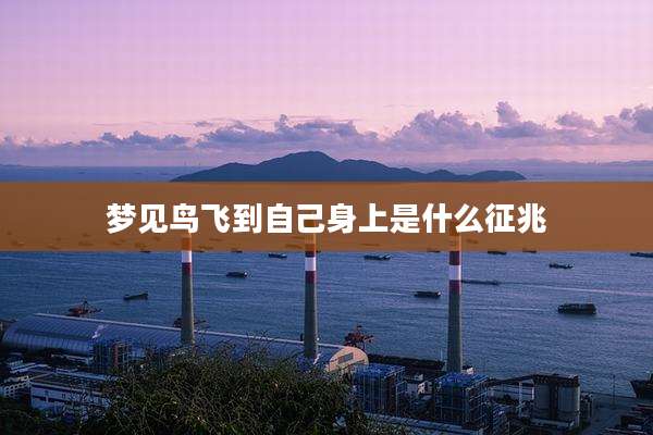梦见鸟飞到自己身上是什么征兆