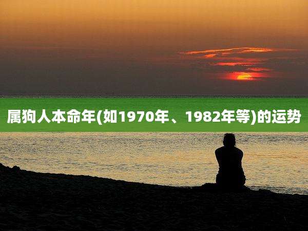 属狗人本命年(如1970年、1982年等)的运势