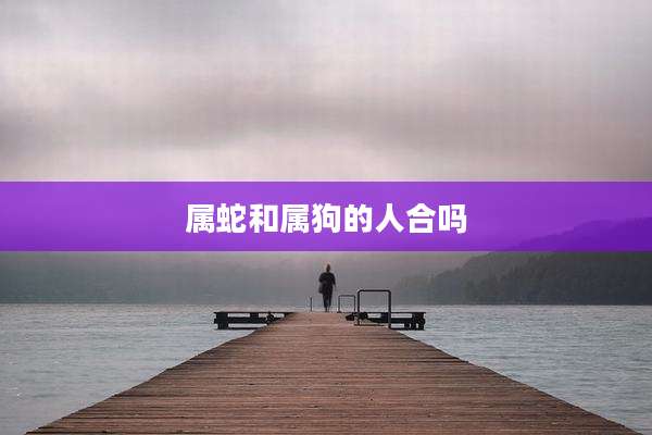 属蛇和属狗的人合吗