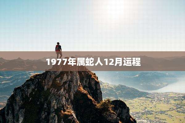 1977年属蛇人12月运程