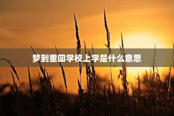 梦到重回学校上学是什么意思