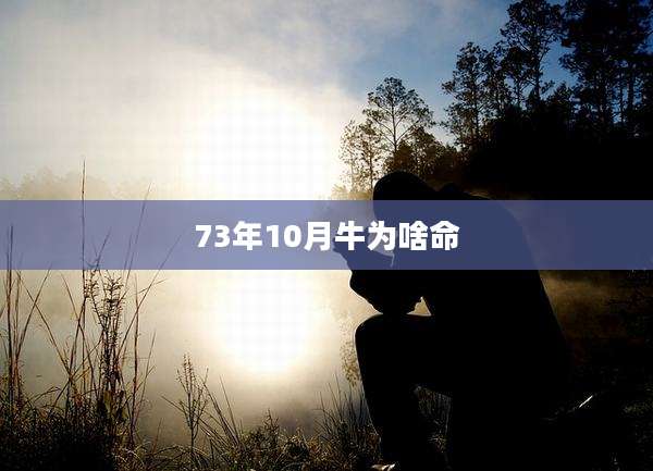73年10月牛为啥命