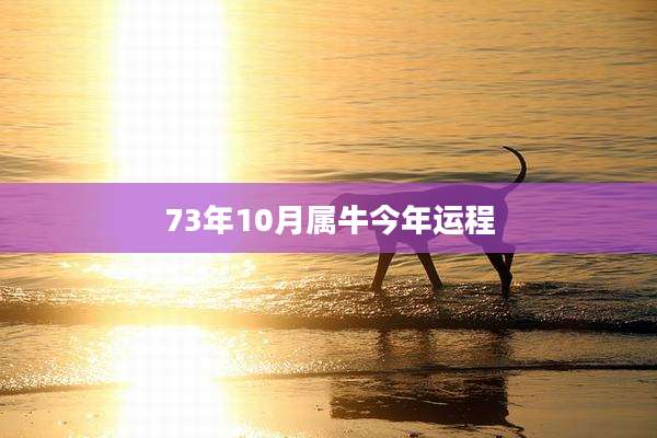73年10月属牛今年运程