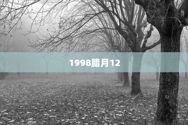 1998腊月12