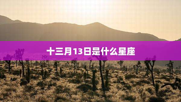 十三月13日是什么星座