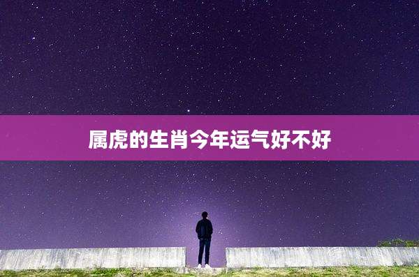 属虎的生肖今年运气好不好