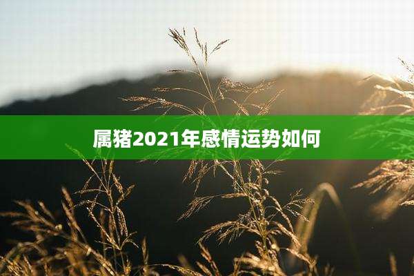 属猪2021年感情运势如何
