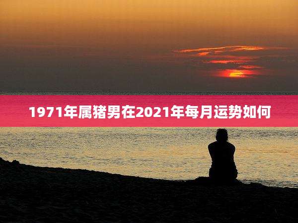 1971年属猪男在2021年每月运势如何