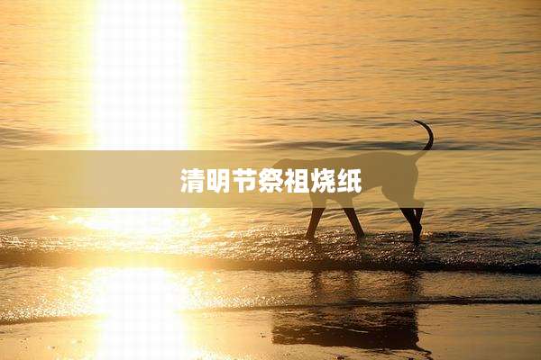 清明节祭祖烧纸