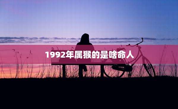 1992年属猴的是啥命人