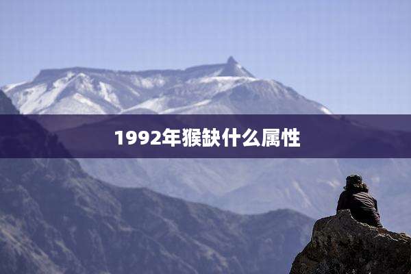 1992年猴缺什么属性