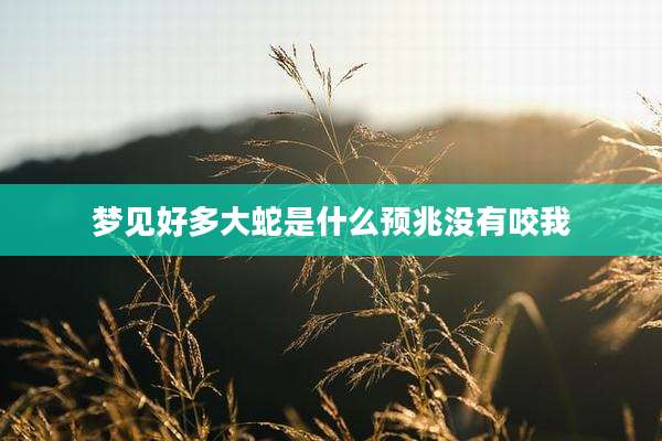 梦见好多大蛇是什么预兆没有咬我