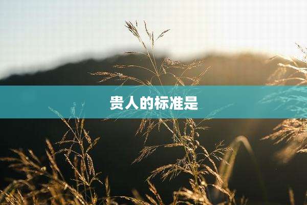 贵人的标准是