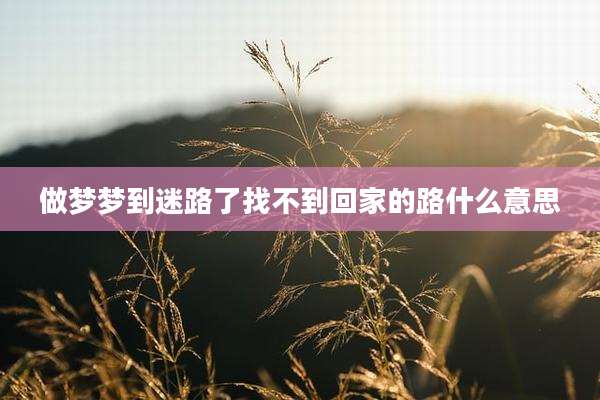 做梦梦到迷路了找不到回家的路什么意思