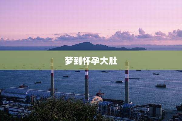 梦到怀孕大肚