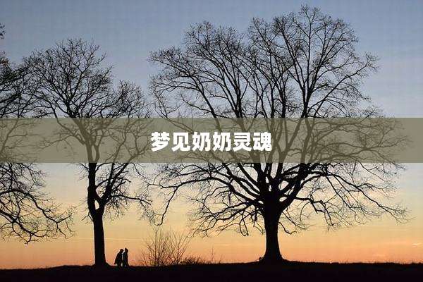 梦见奶奶灵魂