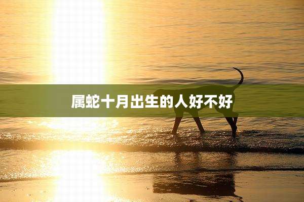 属蛇十月出生的人好不好