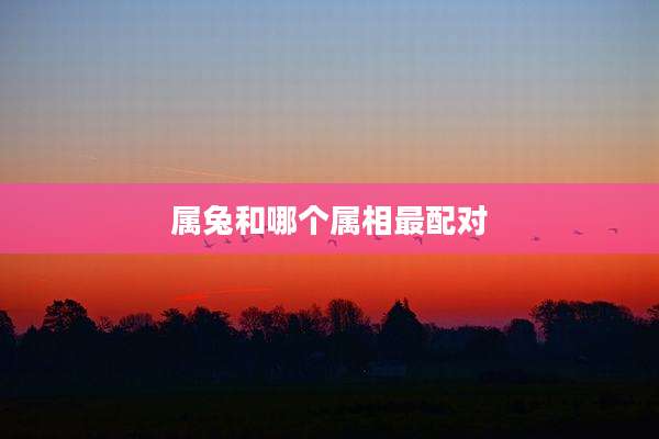 属兔和哪个属相最配对