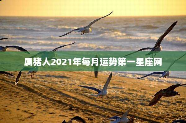 属猪人2021年每月运势第一星座网