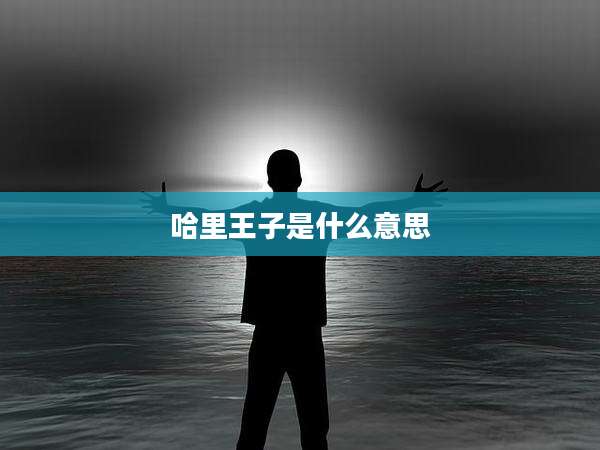 哈里王子是什么意思