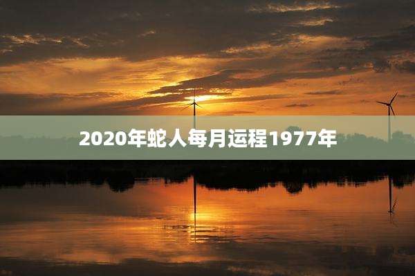 2020年蛇人每月运程1977年