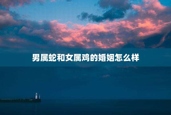 男属蛇和女属鸡的婚姻怎么样