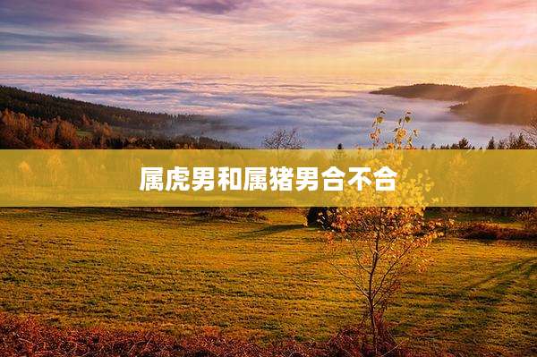 属虎男和属猪男合不合