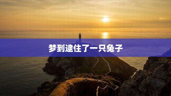 梦到逮住了一只兔子