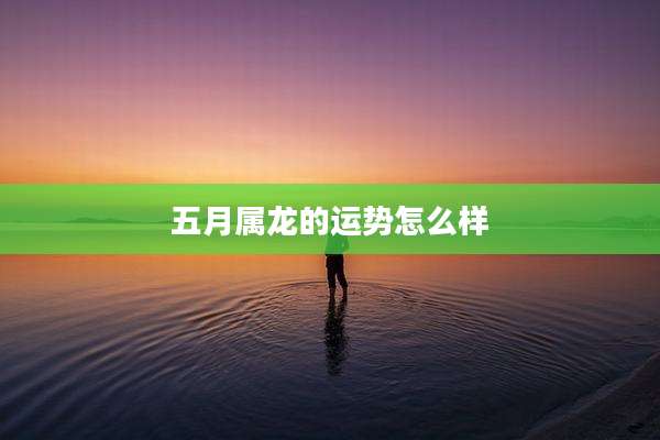 五月属龙的运势怎么样