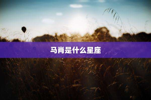 马肖是什么星座