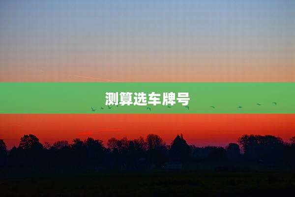 测算选车牌号