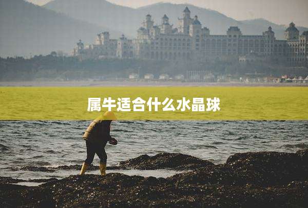 属牛适合什么水晶球