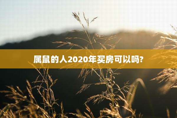 属鼠的人2020年买房可以吗?