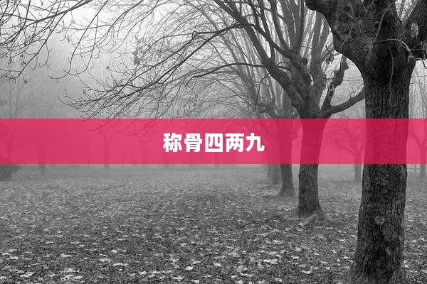 称骨四两九