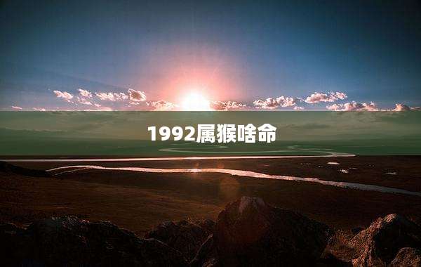 1992属猴啥命