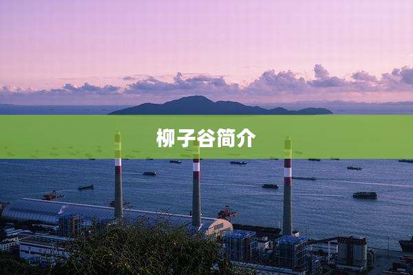 柳子谷简介