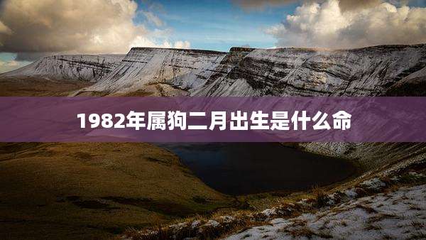 1982年属狗二月出生是什么命