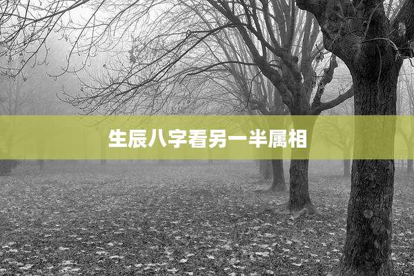 生辰八字看另一半属相