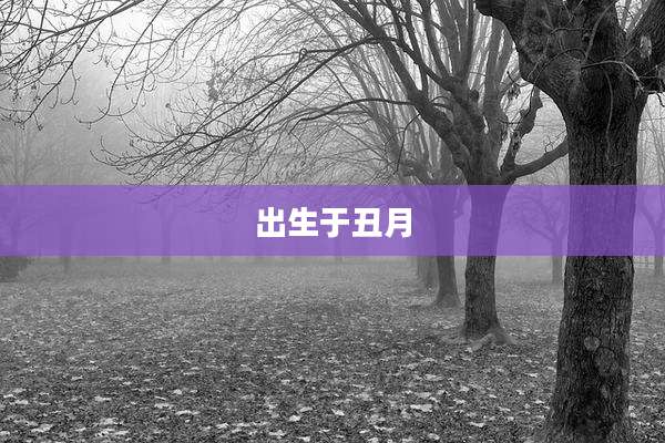 出生于丑月