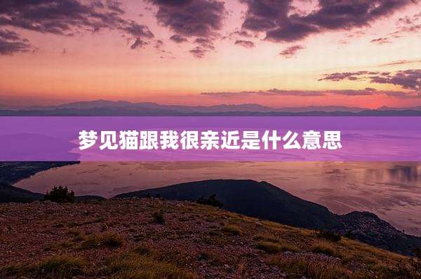 梦见猫跟我很亲近是什么意思